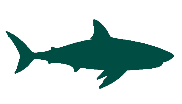 Shark sillhouette