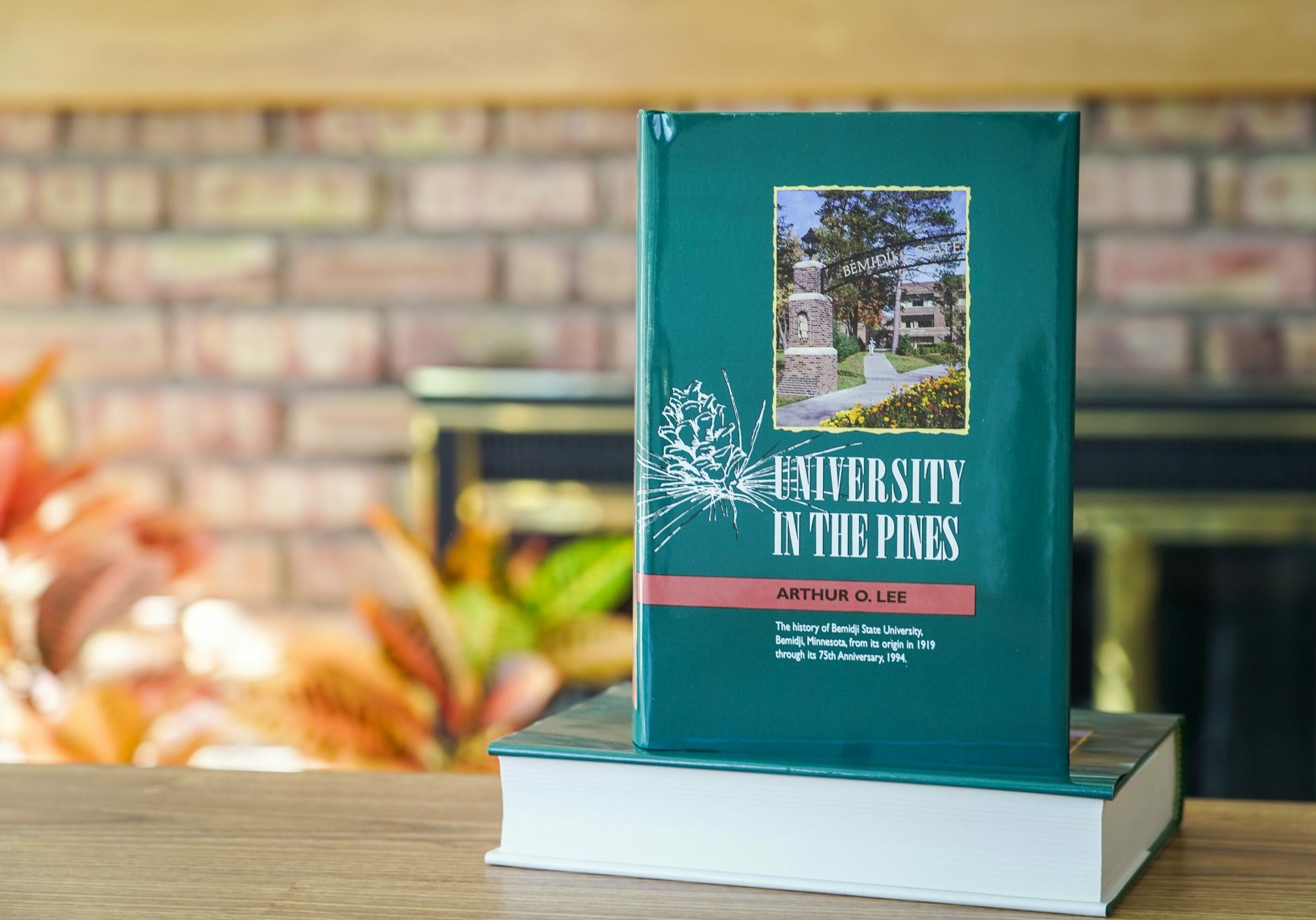 University in the Pines book cover staged